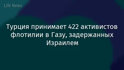 Турция принимает 422 активистов флотилии в Газу, задержанных Израилем