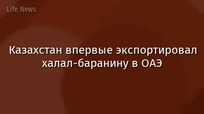 Казахстан впервые экспортировал халал-баранину в ОАЭ