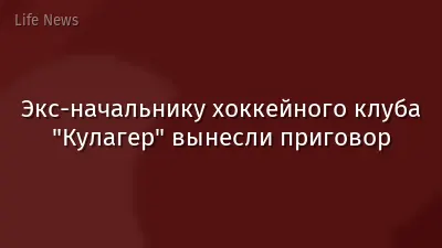 Экс-начальнику хоккейного клуба "Кулагер" вынесли приговор