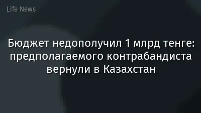 Бюджет недополучил 1 млрд тенге: предполагаемого контрабандиста вернули в Казахстан