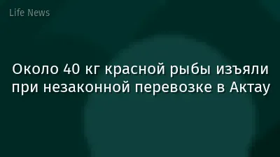 Около 40 кг красной рыбы изъяли при незаконной перевозке в Актау