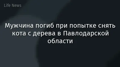 Мужчина погиб при попытке снять кота с дерева в Павлодарской области