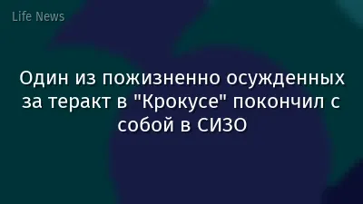 Один из пожизненно осужденных за теракт в "Крокусе" покончил с собой в СИЗО