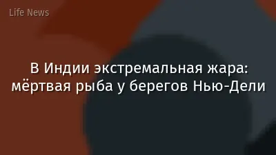 В Индии экстремальная жара: мёртвая рыба у берегов Нью-Дели