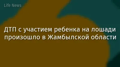 ДТП с участием ребенка на лошади произошло в Жамбылской области