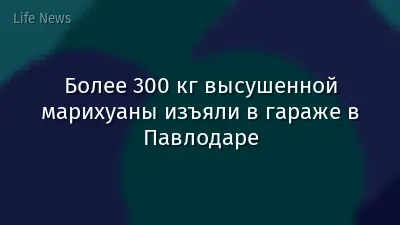Более 300 кг высушенной марихуаны изъяли в гараже в Павлодаре
