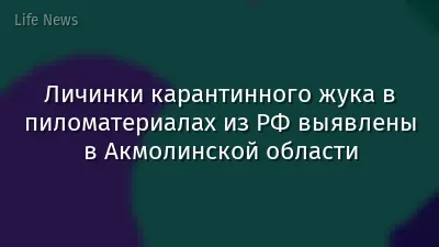 Личинки карантинного жука в пиломатериалах из РФ выявлены в Акмолинской области