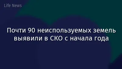 Почти 90 неиспользуемых земель выявили в СКО с начала года