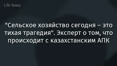 "Сельское хозяйство сегодня – это тихая трагедия". Эксперт о том, что происходит с казахстанским АПК
