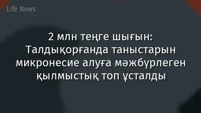 2 млн теңге шығын: Талдықорғанда таныстарын микронесие алуға мәжбүрлеген қылмыстық топ ұсталды