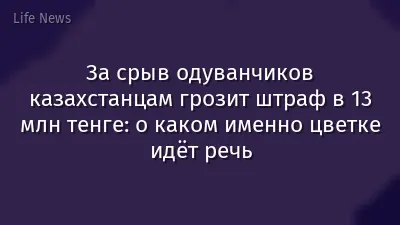За срыв одуванчиков казахстанцам грозит штраф в 13 млн тенге: о каком именно цветке идёт речь