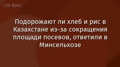 Подорожают ли хлеб и рис в Казахстане из-за сокращения площади посевов, ответили в Минсельхозе