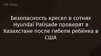 Безопасность кресел в сотнях Hyundai Palisade проверят в Казахстане после гибели ребёнка в США