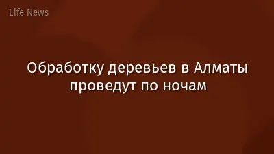 Обработку деревьев в Алматы проведут по ночам
