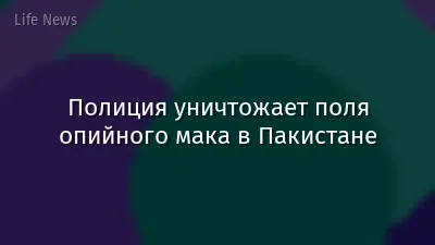 Полиция уничтожает поля опийного мака в Пакистане