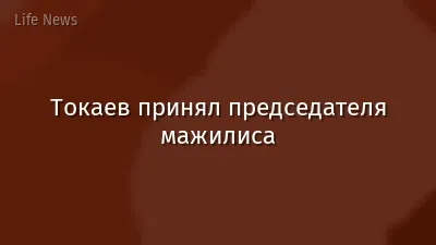 Токаев принял председателя мажилиса