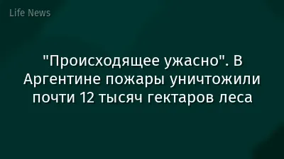 "Происходящее ужасно". В Аргентине пожары уничтожили почти 12 тысяч гектаров леса