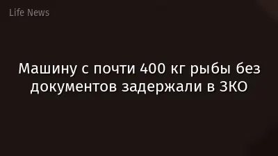 Машину с почти 400 кг рыбы без документов задержали в ЗКО