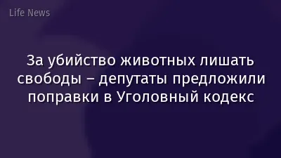 За убийство животных лишать свободы – депутаты предложили поправки в Уголовный кодекс