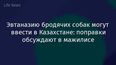 Эвтаназию бродячих собак могут ввести в Казахстане: поправки обсуждают в мажилисе