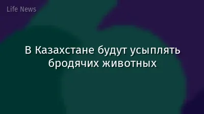 В Казахстане будут усыплять бродячих животных