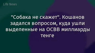 "Собака не скажет". Кошанов задался вопросом, куда ушли выделенные на ОСВВ миллиарды тенге