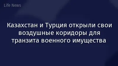 Казахстан и Турция открыли свои воздушные коридоры для транзита военного имущества