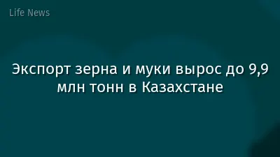 Экспорт зерна и муки вырос до 9,9 млн тонн в Казахстане