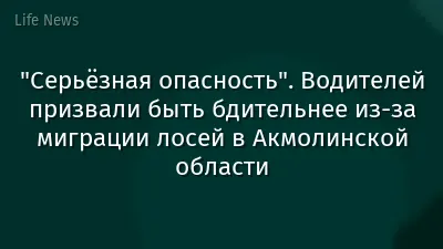 "Серьёзная опасность". Водителей призвали быть бдительнее из-за миграции лосей в Акмолинской области