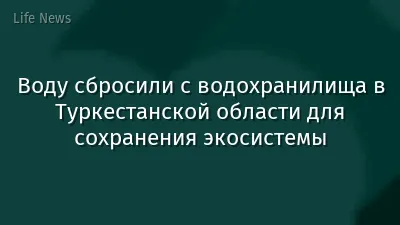 Воду сбросили с водохранилища в Туркестанской области для сохранения экосистемы