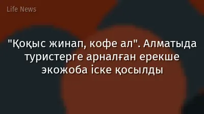 "Қоқыс жинап, кофе ал". Алматыда туристерге арналған ерекше экожоба іске қосылды