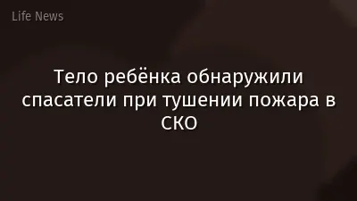 Тело ребёнка обнаружили спасатели при тушении пожара в СКО