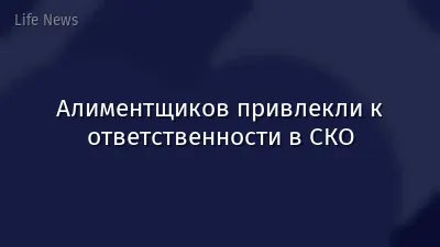 Алиментщиков привлекли к ответственности в СКО