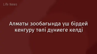 Алматы зообағында үш бірдей кенгуру төлі дүниеге келді