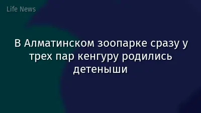 В Алматинском зоопарке сразу у трех пар кенгуру родились детеныши