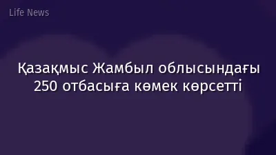 Қазақмыс Жамбыл облысындағы 250 отбасыға көмек көрсетті