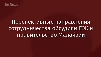 Перспективные направления сотрудничества обсудили ЕЭК и правительство Малайзии
