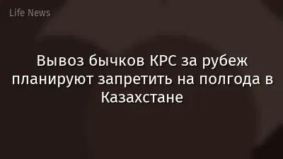 Вывоз бычков КРС за рубеж планируют запретить на полгода в Казахстане