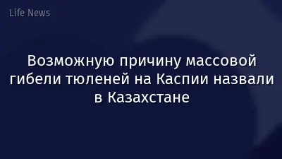 Возможную причину массовой гибели тюленей на Каспии назвали в Казахстане