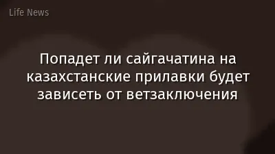 Попадет ли сайгачатина на казахстанские прилавки будет зависеть от ветзаключения