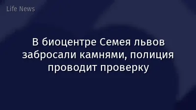 В биоцентре Семея львов забросали камнями, полиция проводит проверку