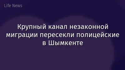 Крупный канал незаконной миграции пересекли полицейские в Шымкенте