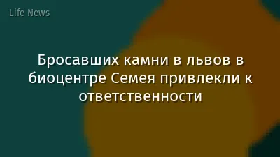 Бросавших камни в львов в биоцентре Семея привлекли к ответственности
