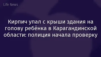 Кирпич упал с крыши здания на голову ребёнка в Карагандинской области: полиция начала проверку