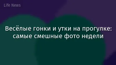 Весёлые гонки и утки на прогулке: самые смешные фото недели