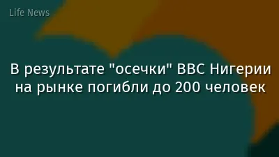 В результате "осечки" ВВС Нигерии на рынке погибли до 200 человек