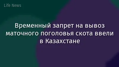 Временный запрет на вывоз маточного поголовья скота ввели в Казахстане