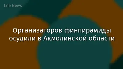 Организаторов финпирамиды осудили в Акмолинской области