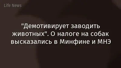 "Демотивирует заводить животных". О налоге на собак высказались в Минфине и МНЭ