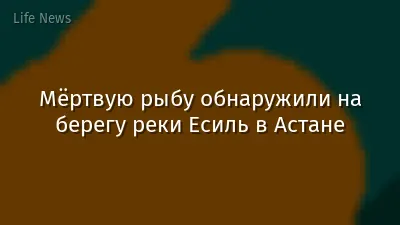 Мёртвую рыбу обнаружили на берегу реки Есиль в Астане